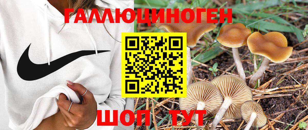 Галлюциногенные грибы MAGIC MUSHROOMS  Псилоцибиновые грибы Magic Shrooms  дарнет шоп  Энгельс  Вход с VPN 