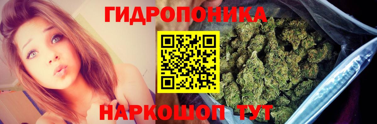 Шишки марихуана Bruce Banner Энгельс